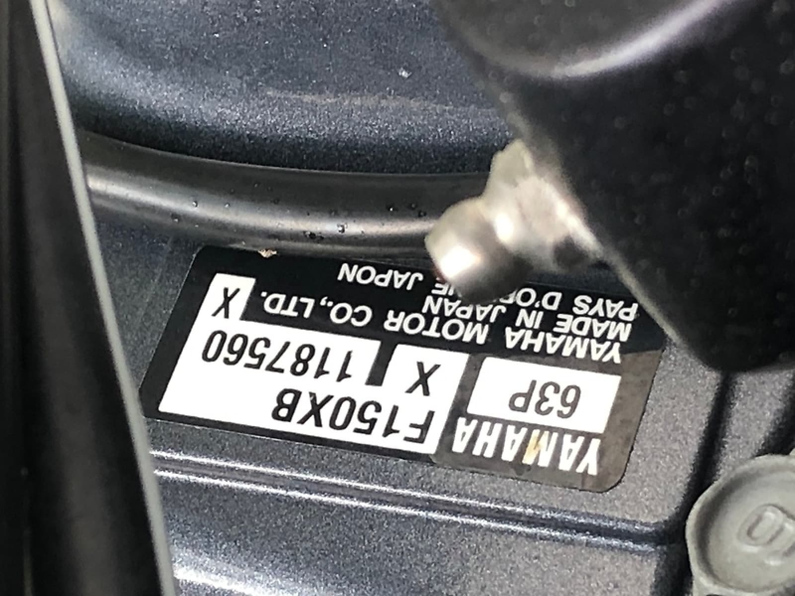 0005698611