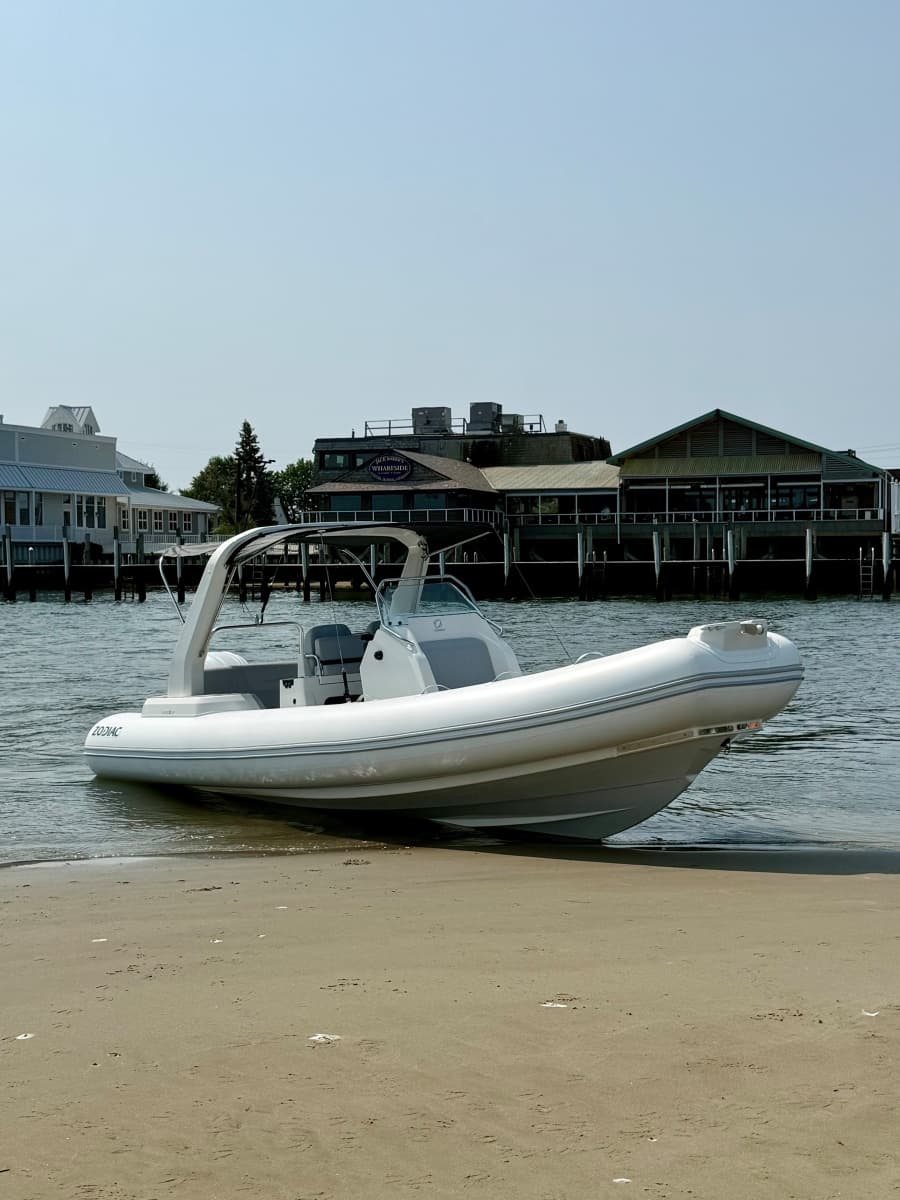 2026 Zodiac 