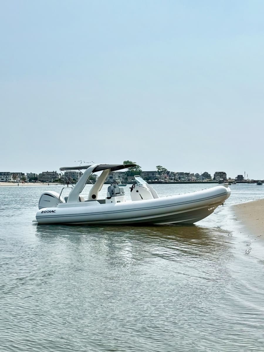 2026 Zodiac 