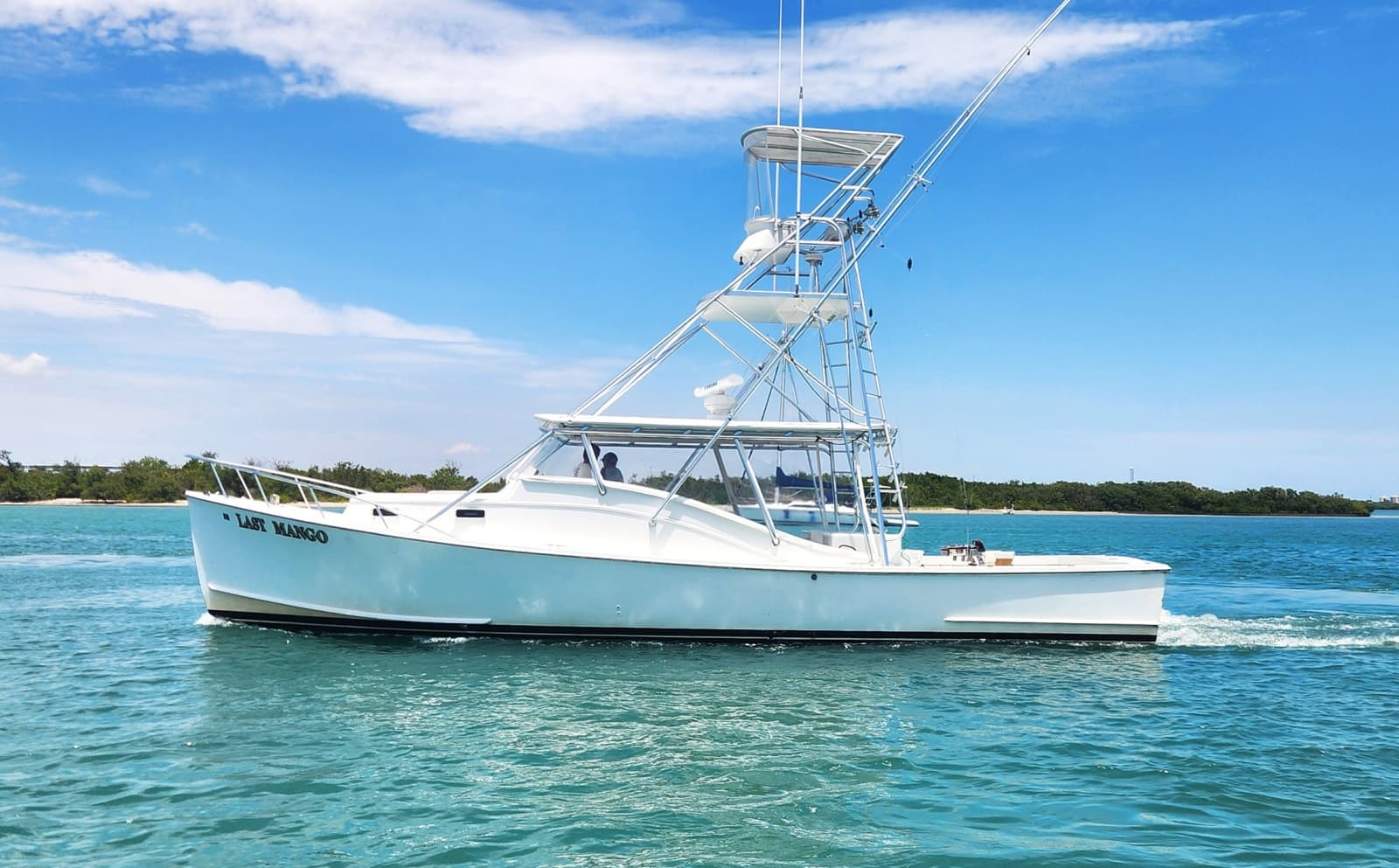 1987 Young Brothers Custom Sport Fish/Charter Business