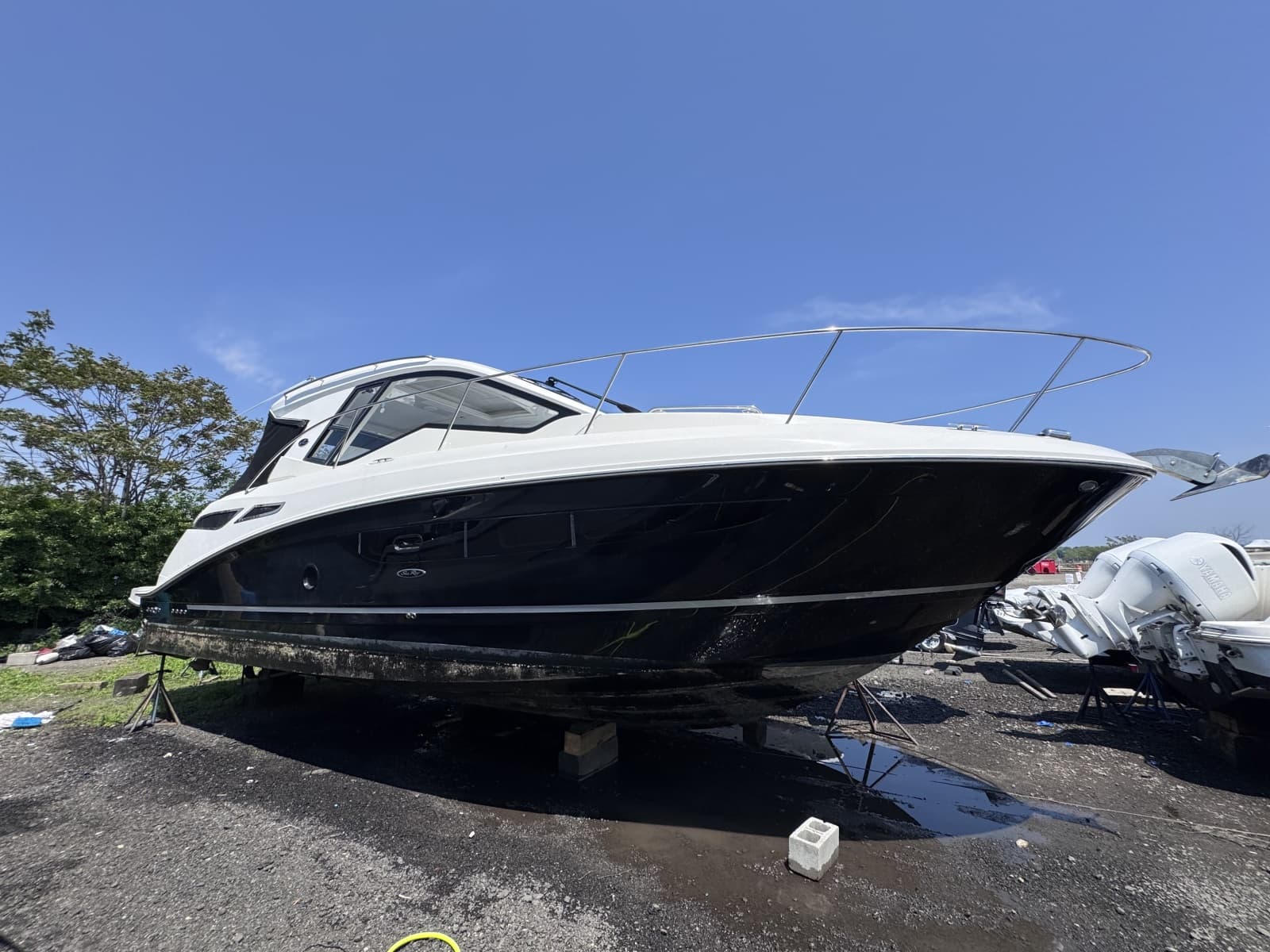 2019 Sea Ray