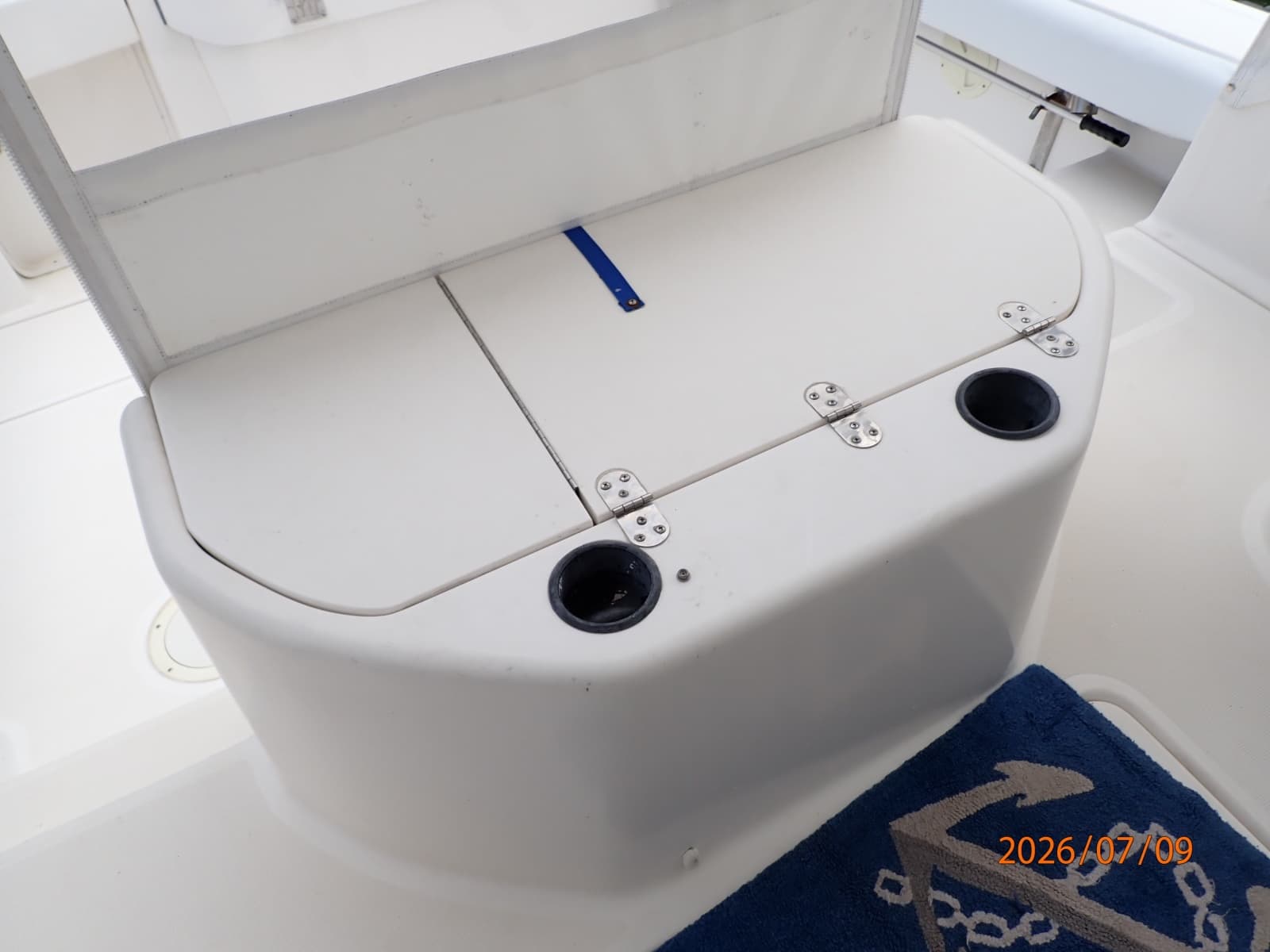 30' Pursuit cockpit livewell-sink