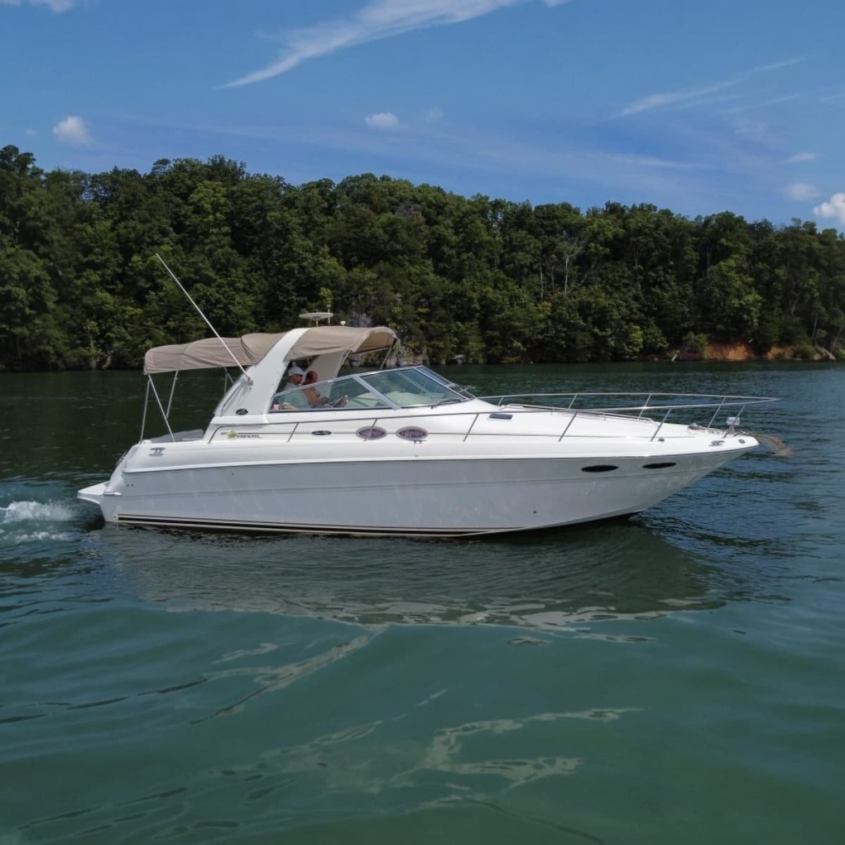 2001 Sea Ray Sundancer 310