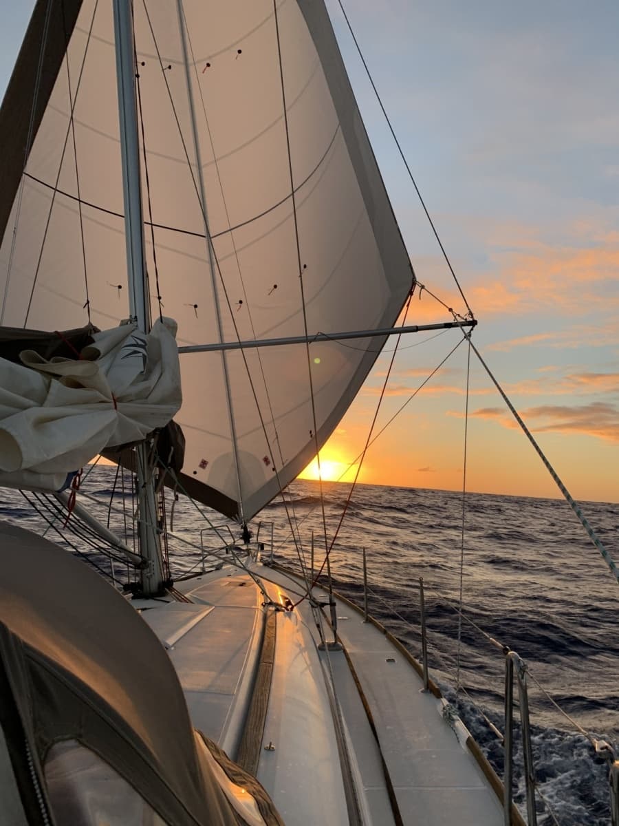 2016 Jeanneau Sun Odyssey 449