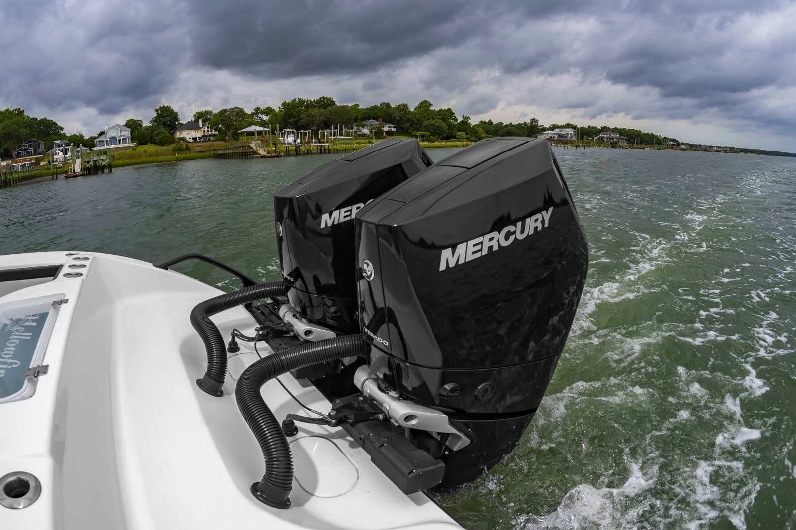 32Yellowfin2025_016