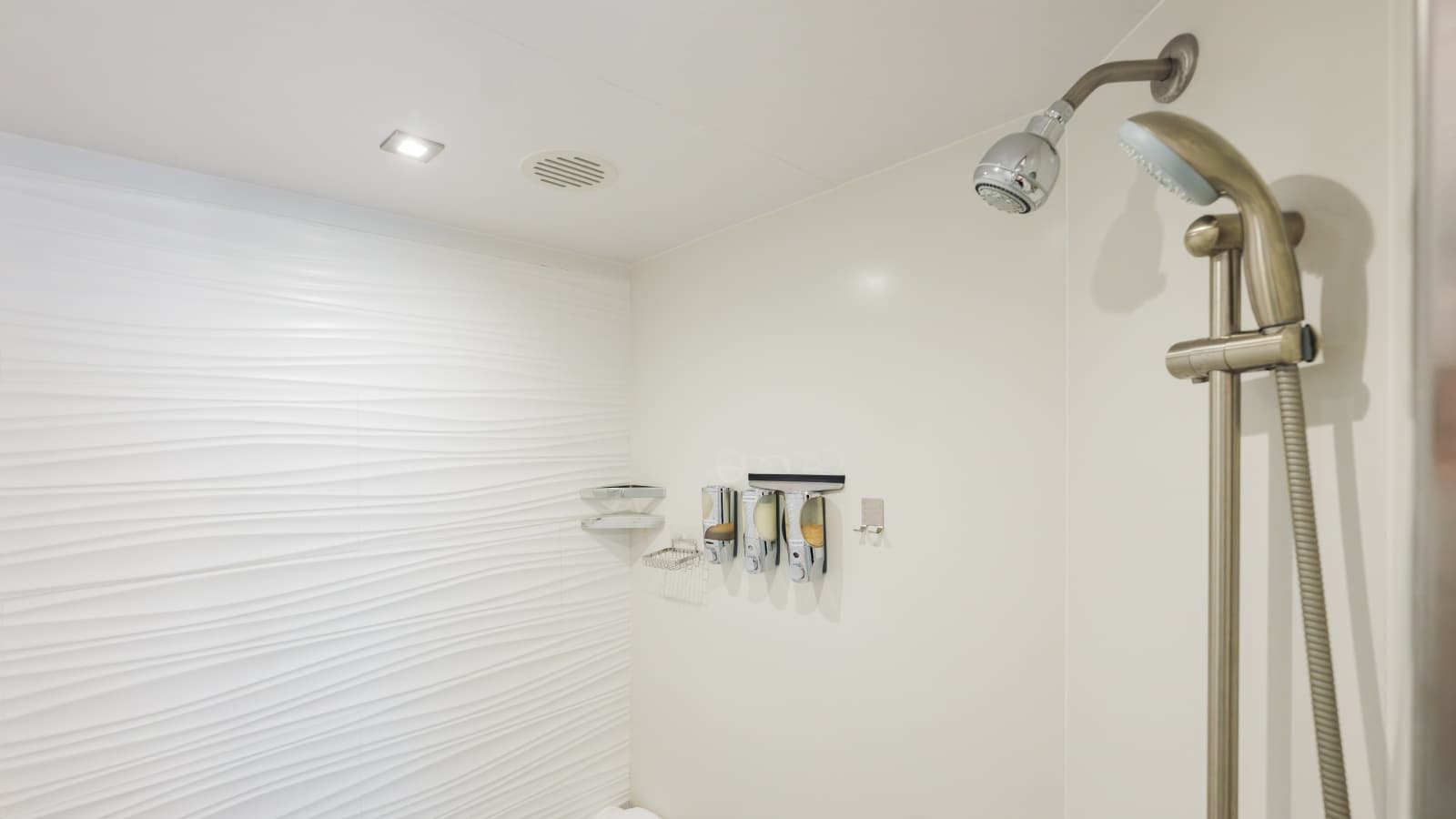 Huge Master Shower