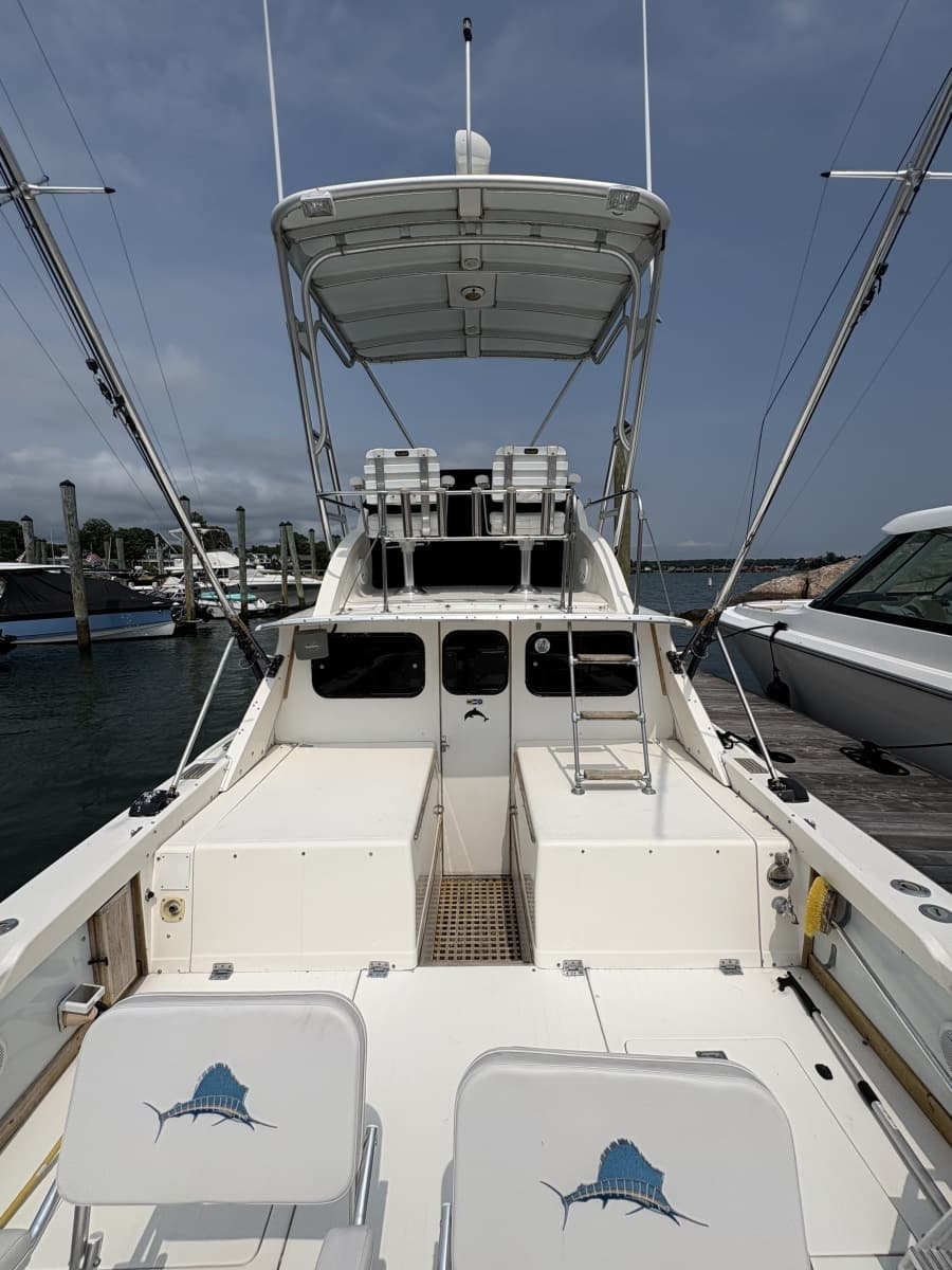 1972 Bertram 31