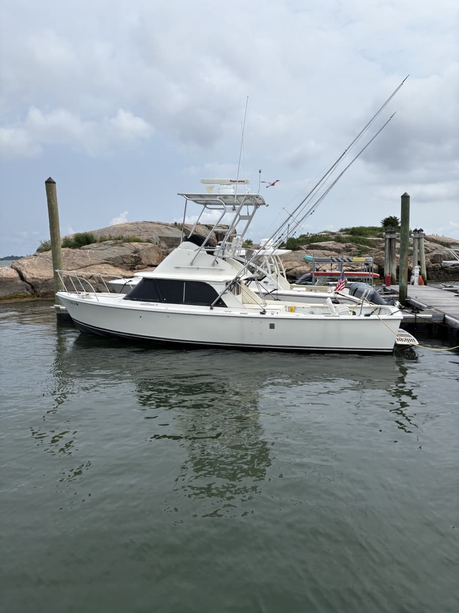 1972 Bertram 31
