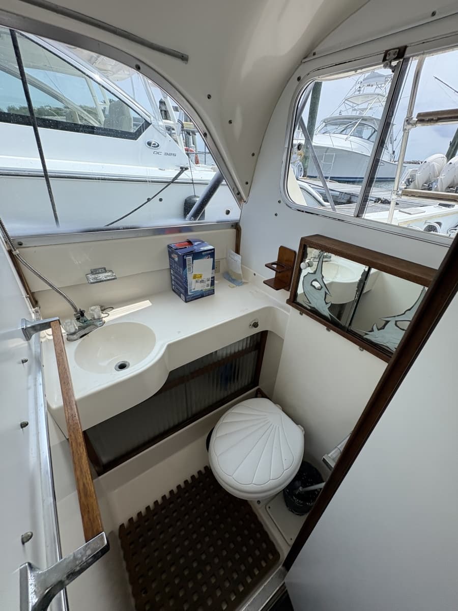 1972 Bertram 31