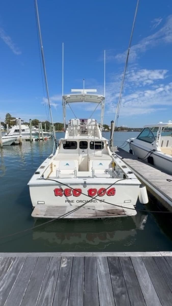 1972 Bertram 31