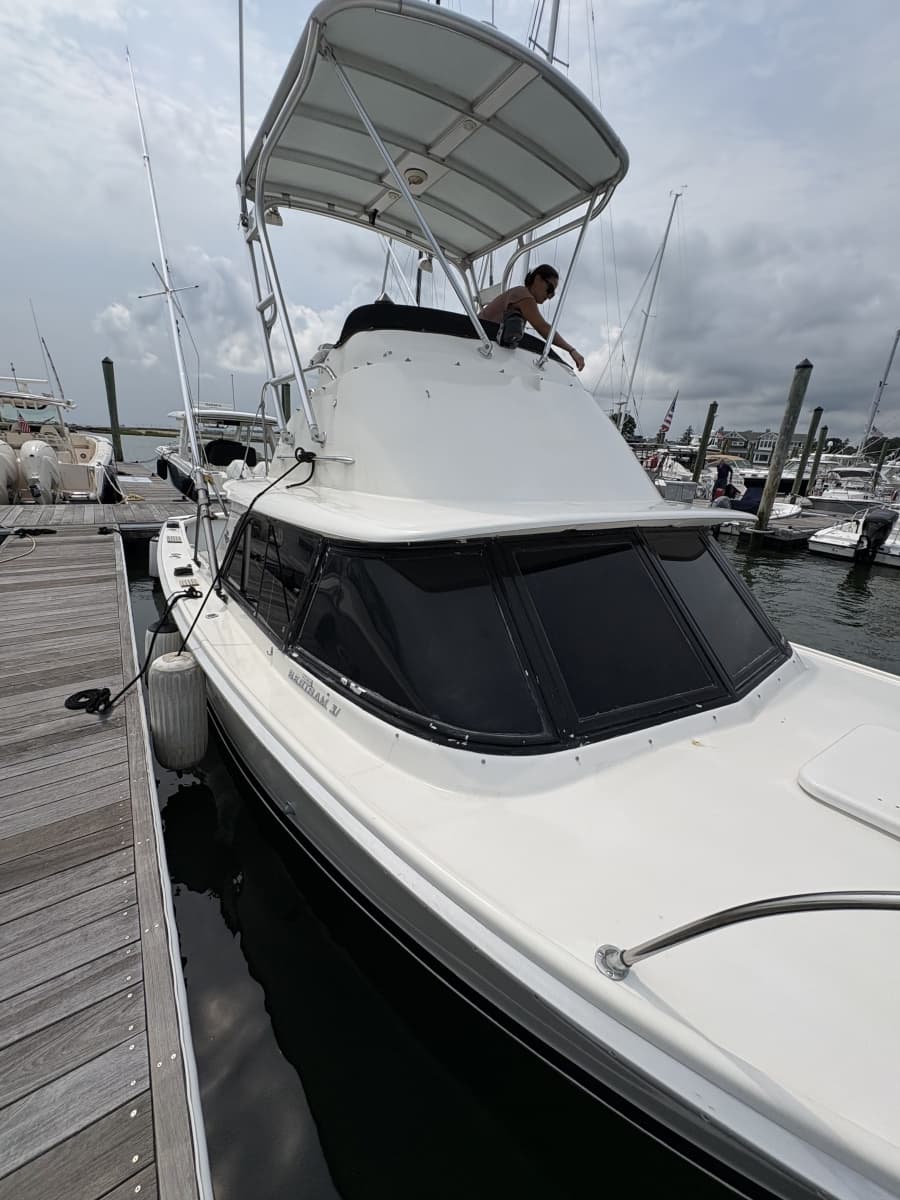 1972 Bertram 31