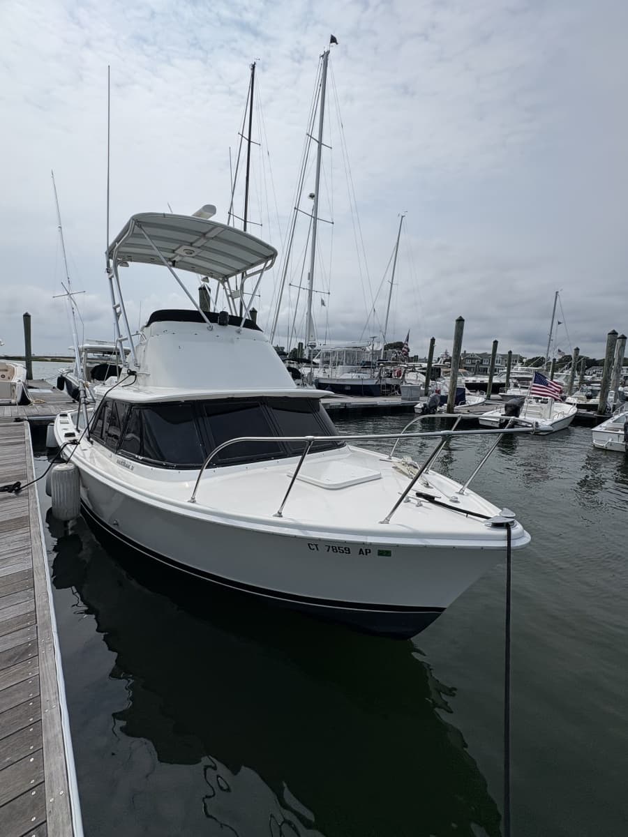 1972 Bertram 31