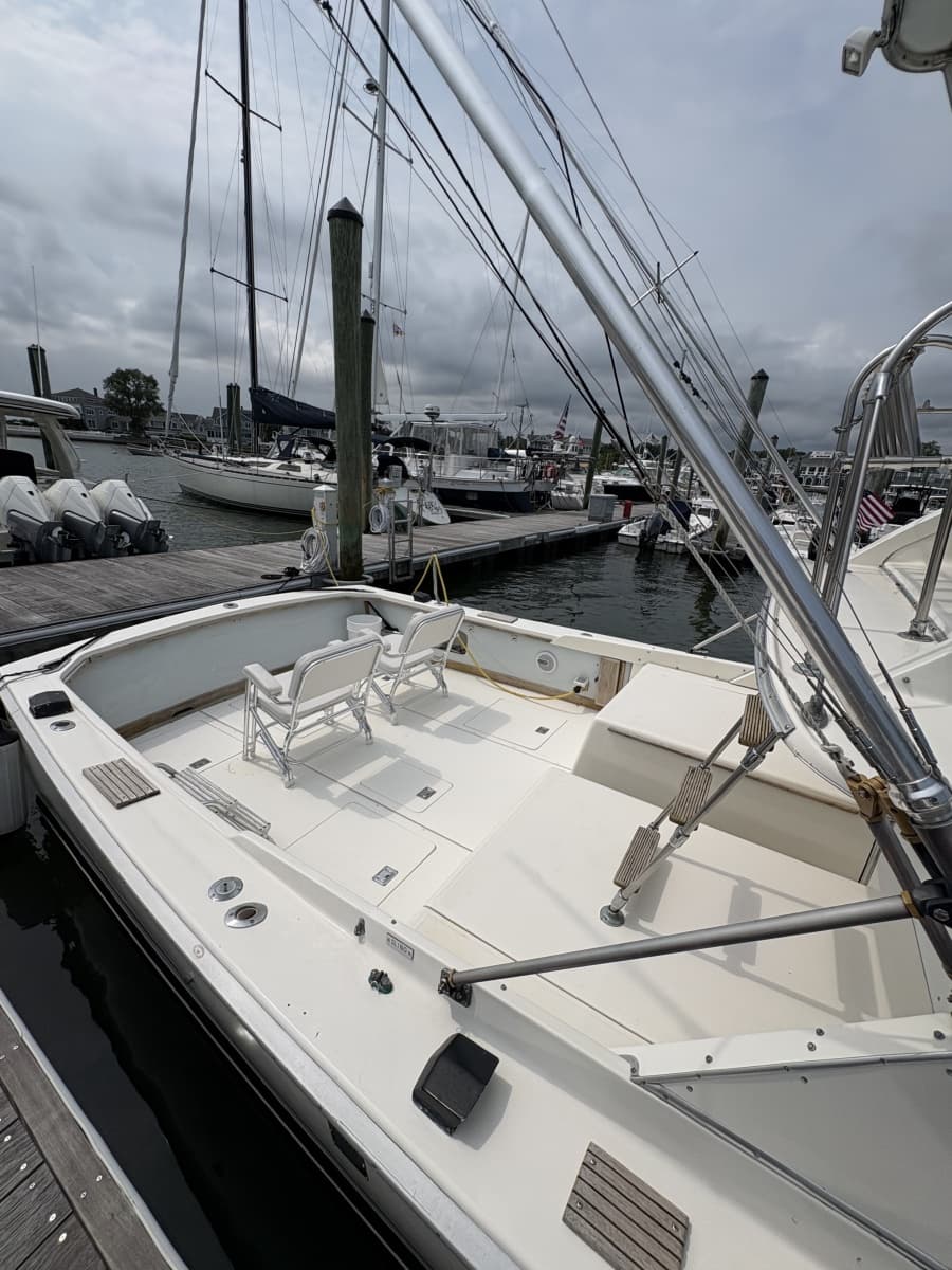 1972 Bertram 31