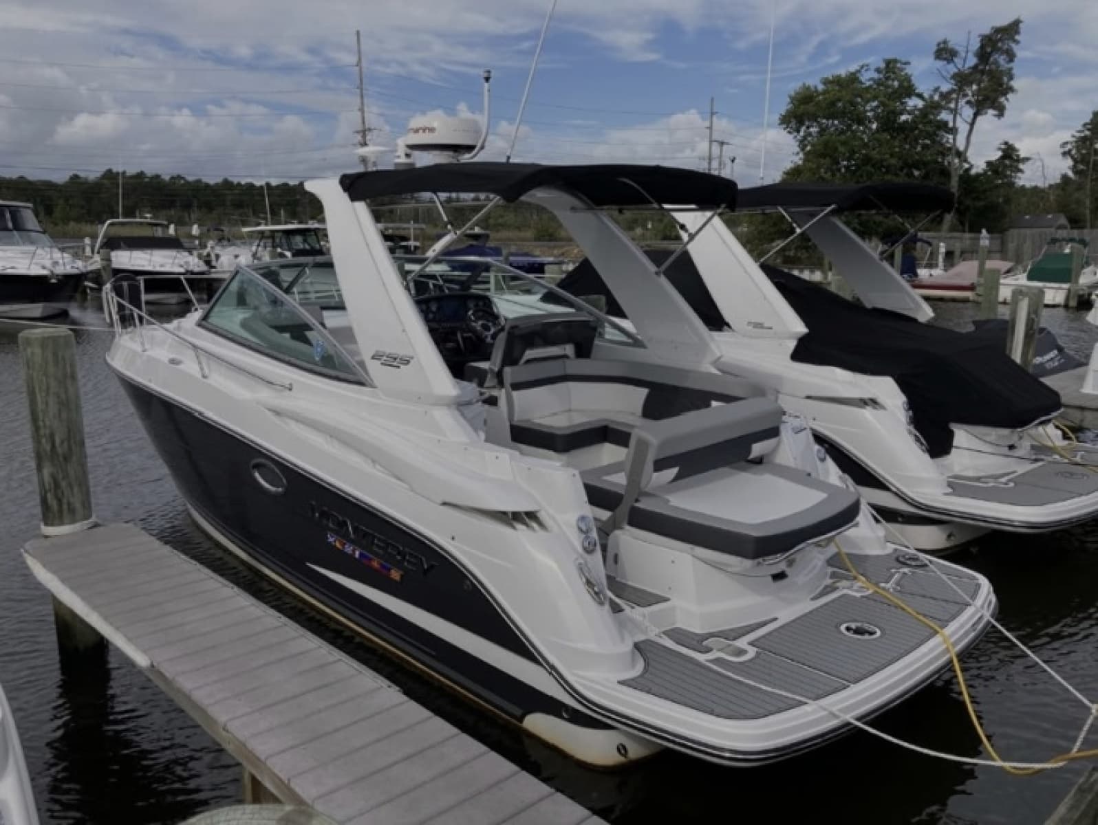 2021 Monterey 295 SY