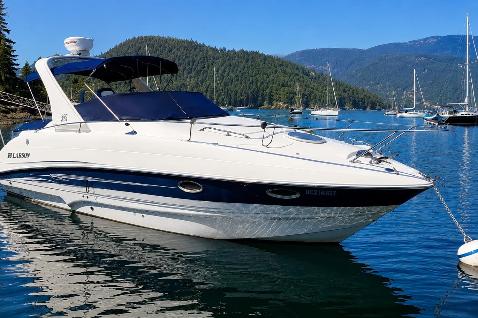 2010 Larson Cabrio 274