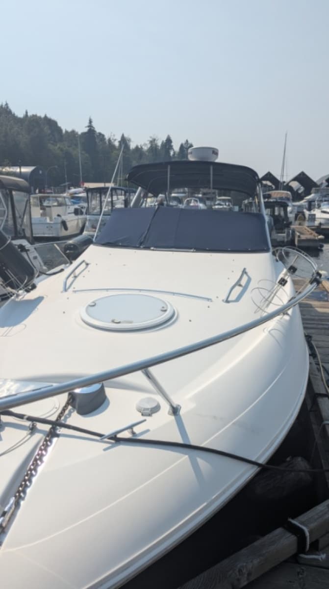 2010 Larson Cabrio 274