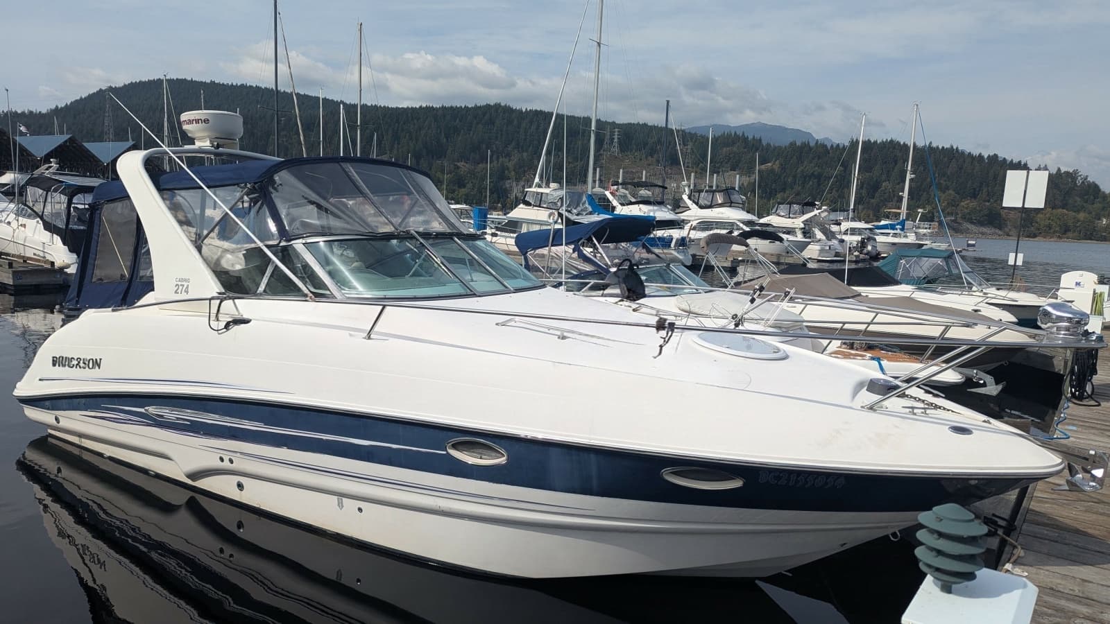 2010 Larson Cabrio 274