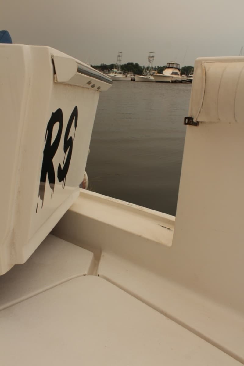 Transom Door