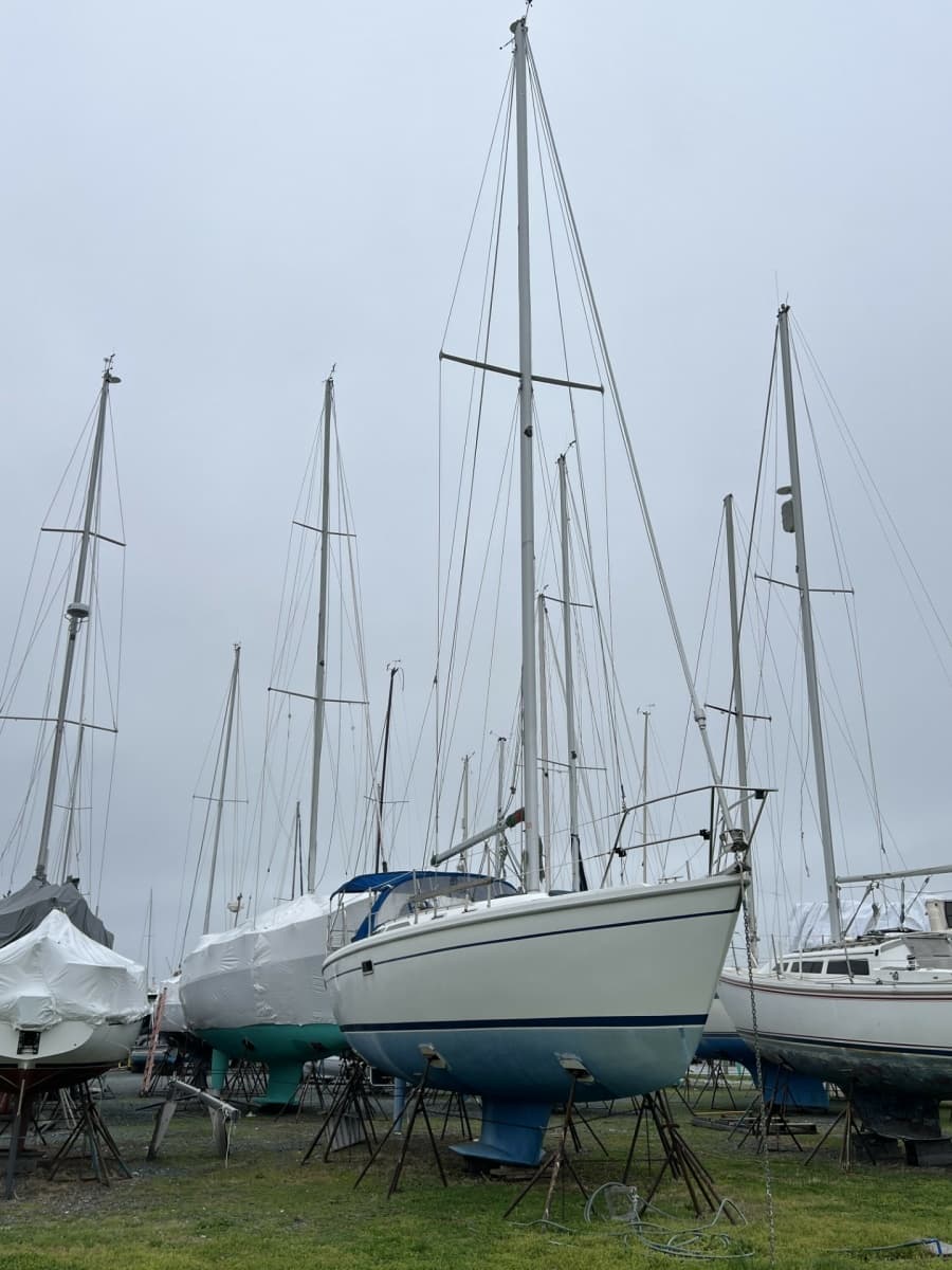 1995 Catalina 36 Mk II