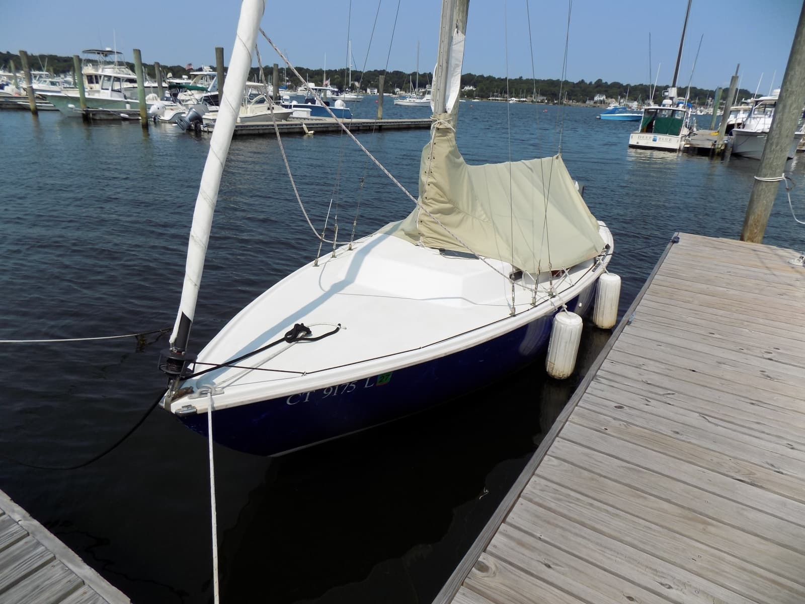 Port forward quarter