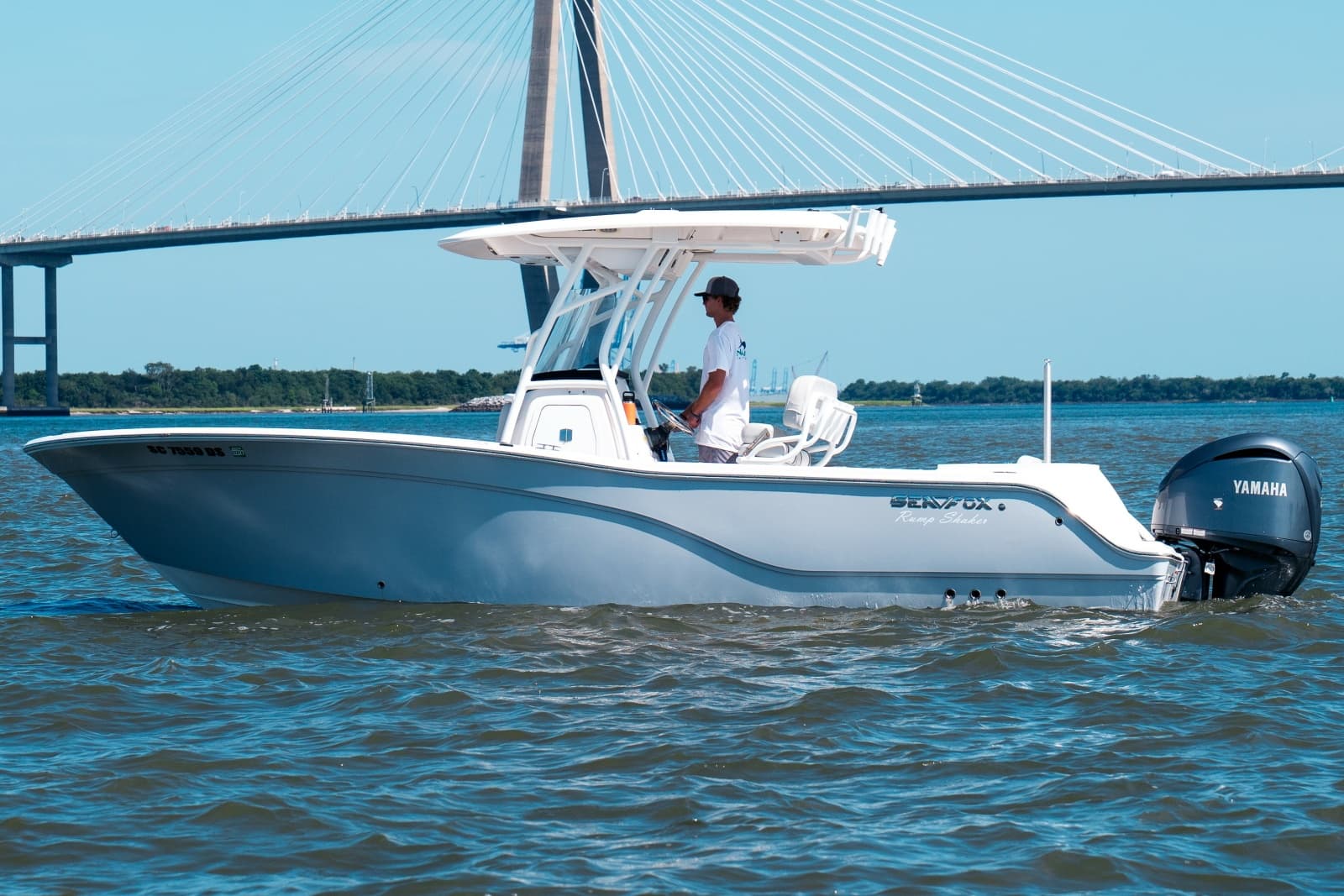 2022 Sea Fox 248 Commander