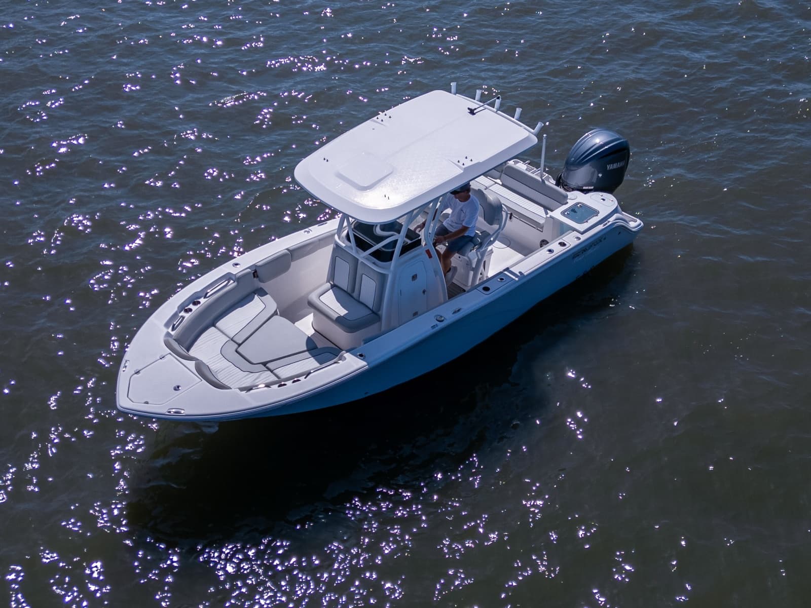 2022 Sea Fox 248 Commander