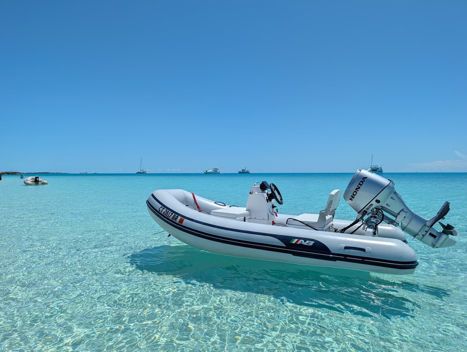 New Tender