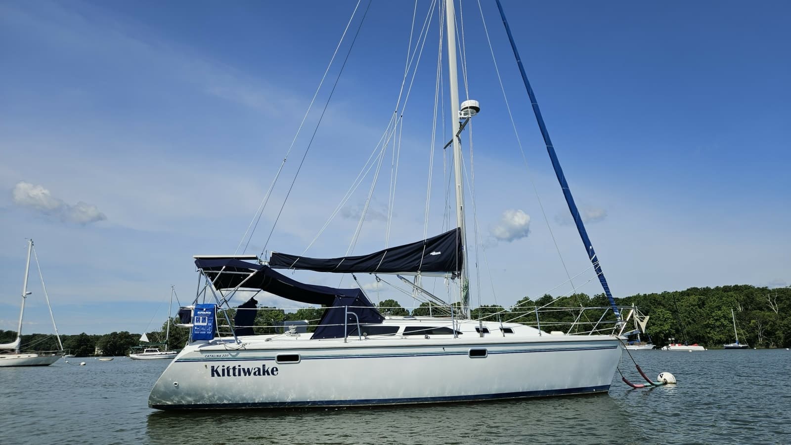 1998 Catalina 320