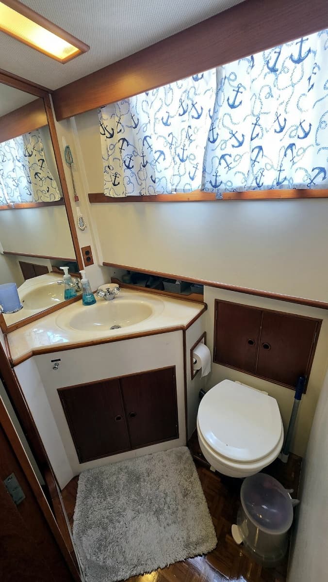 Master Head Vanity and Toilet