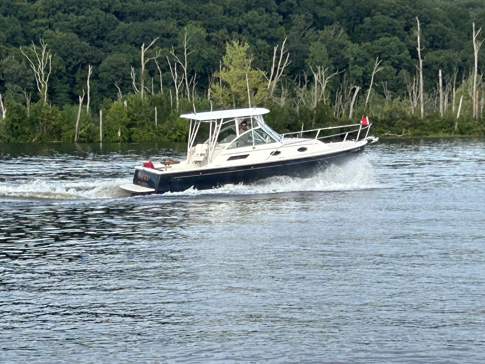 2005 Back Cove 