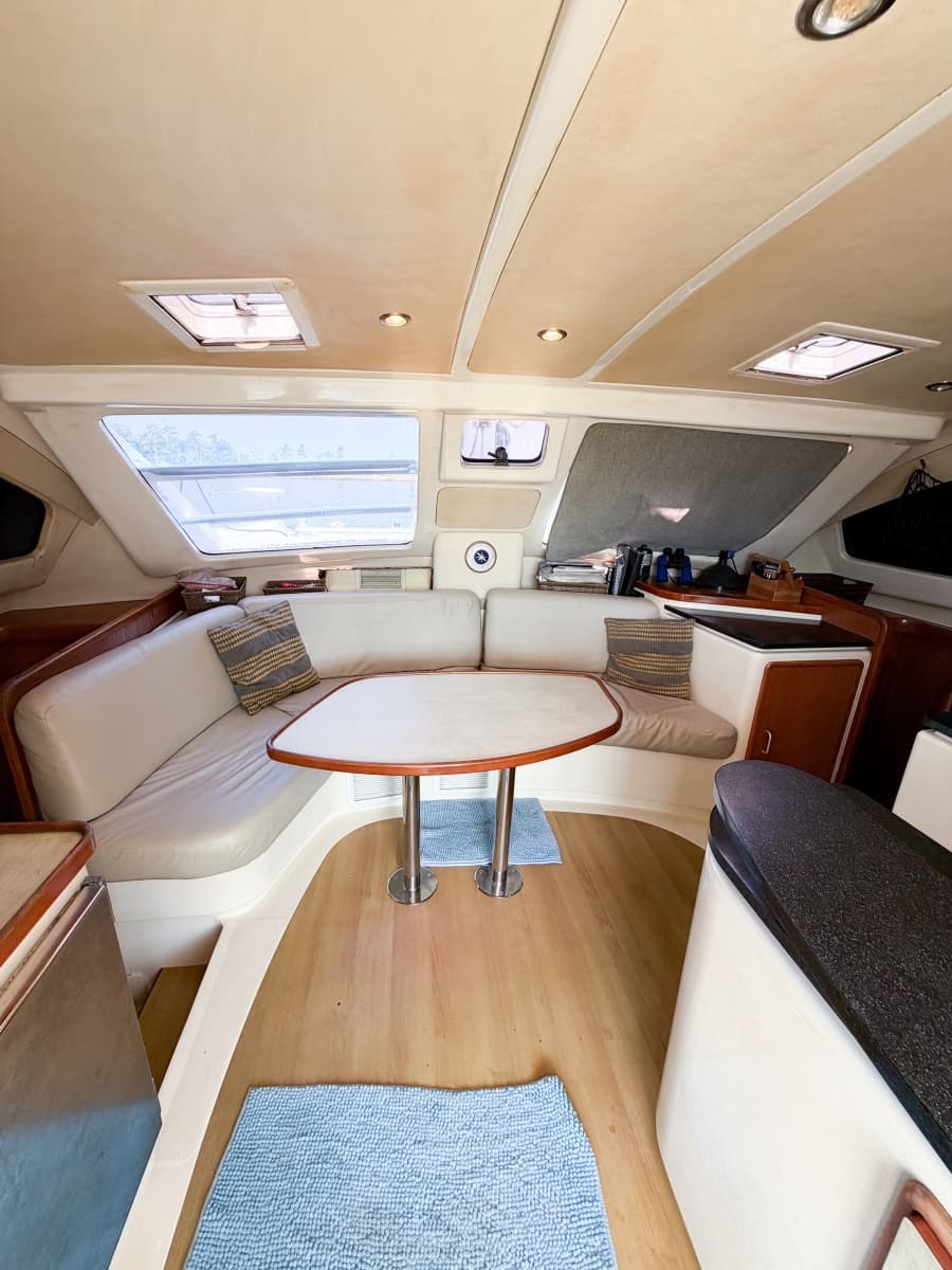 2008 Leopard 40