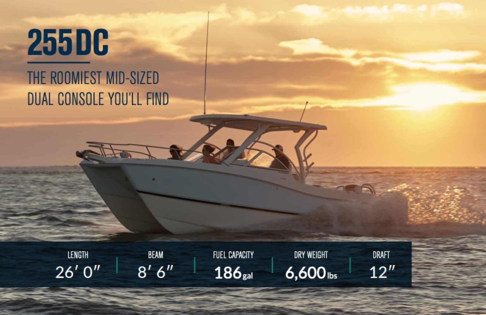 2013 World Cat 255 DC