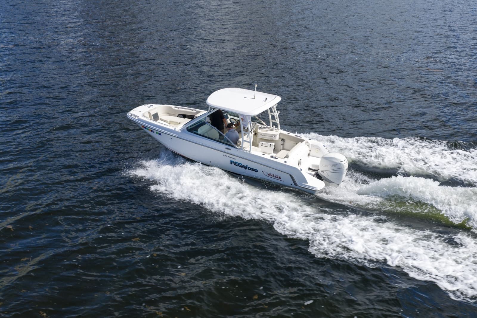 2016 Boston Whaler 230 VANTAGE