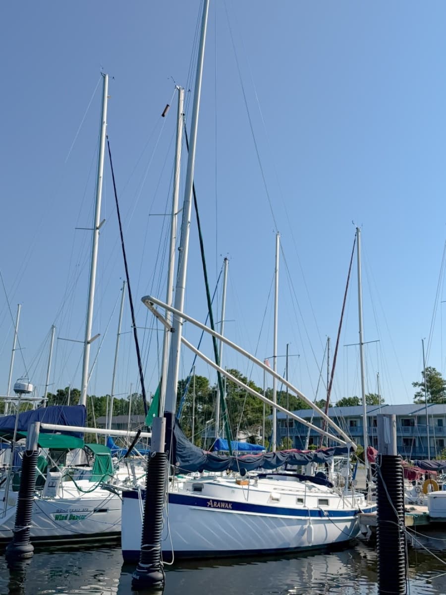1989 Nonsuch 33