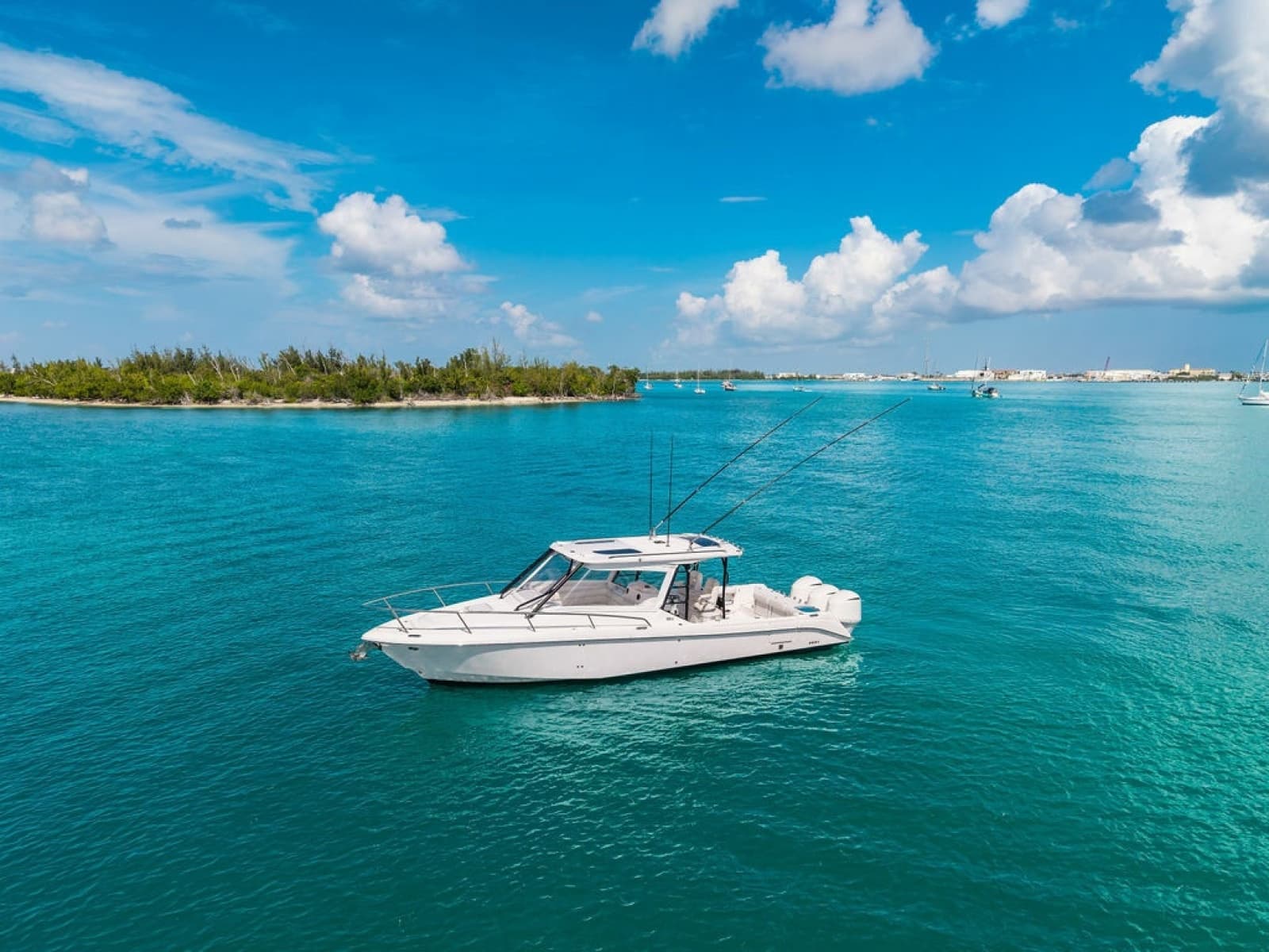 2019 Everglades 