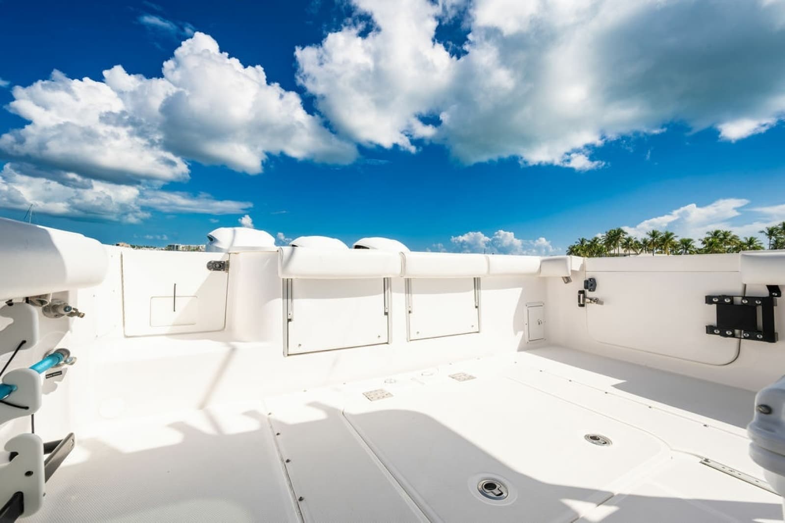 2019 Everglades 