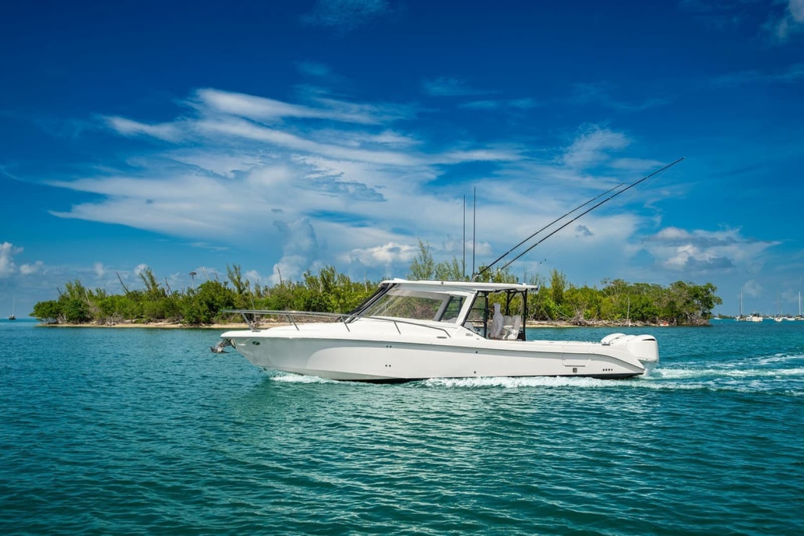 2019 Everglades 