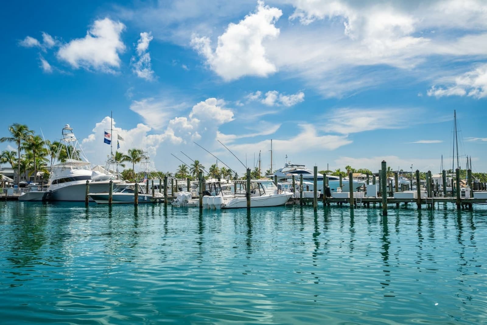 2019 Everglades 
