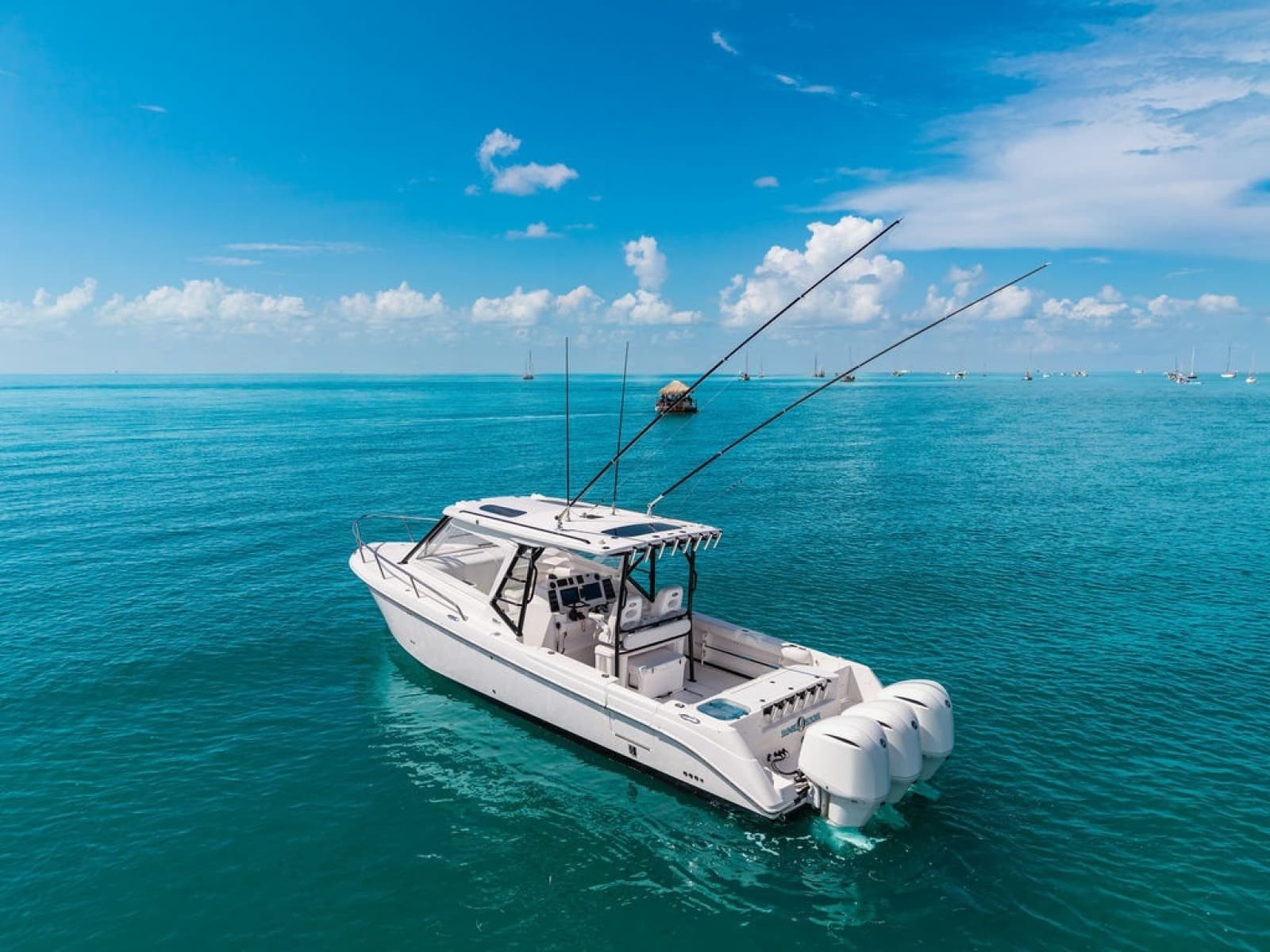 2019 Everglades 