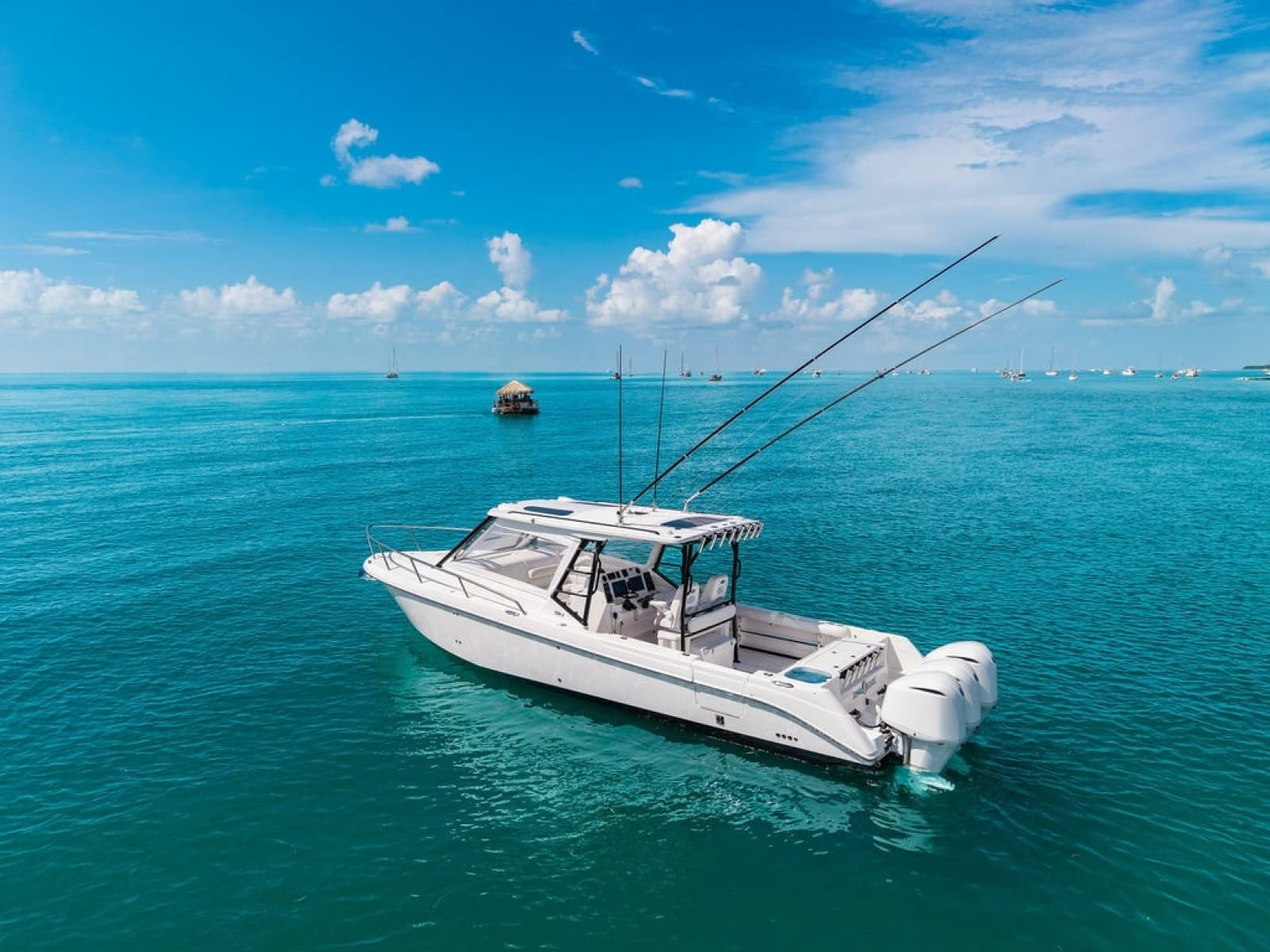 2019 Everglades 