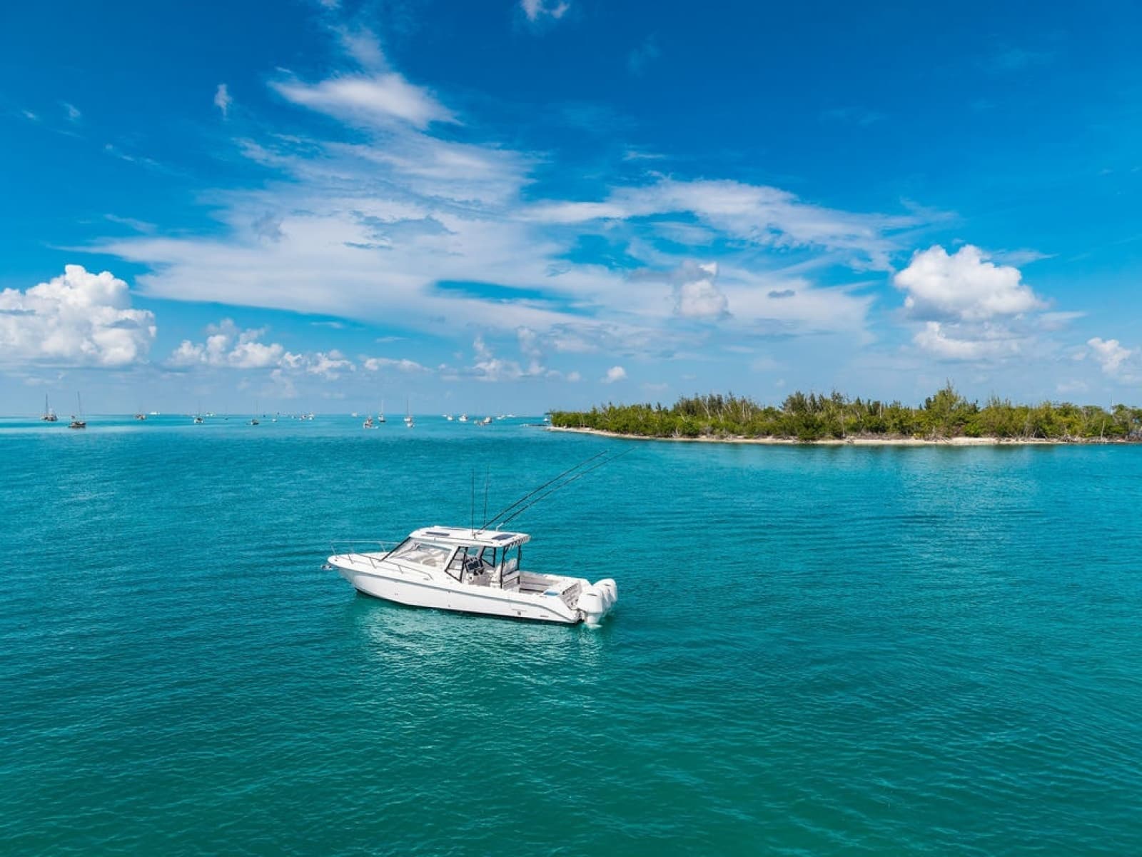 2019 Everglades 