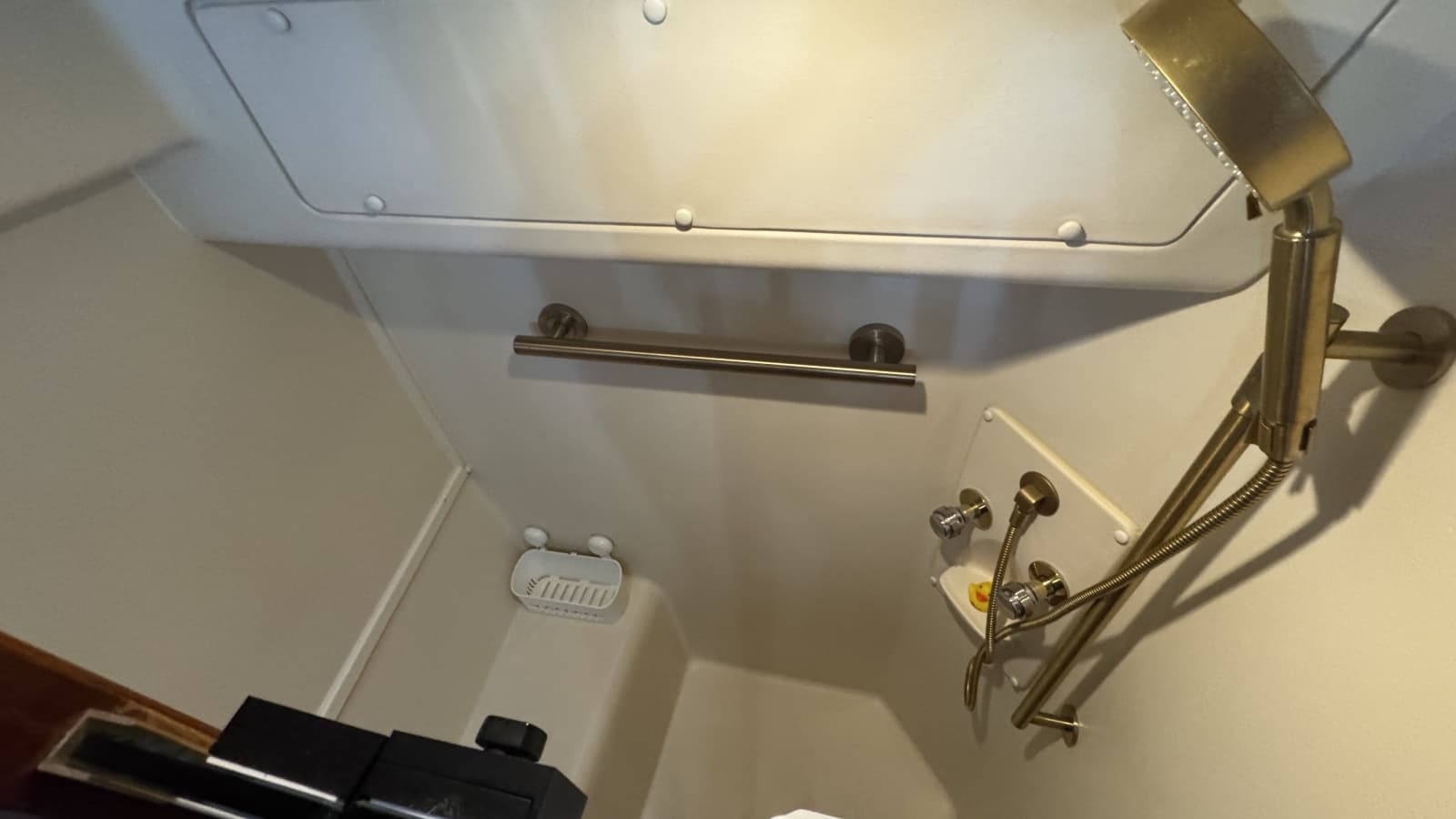 Forward Guest Head - Shower