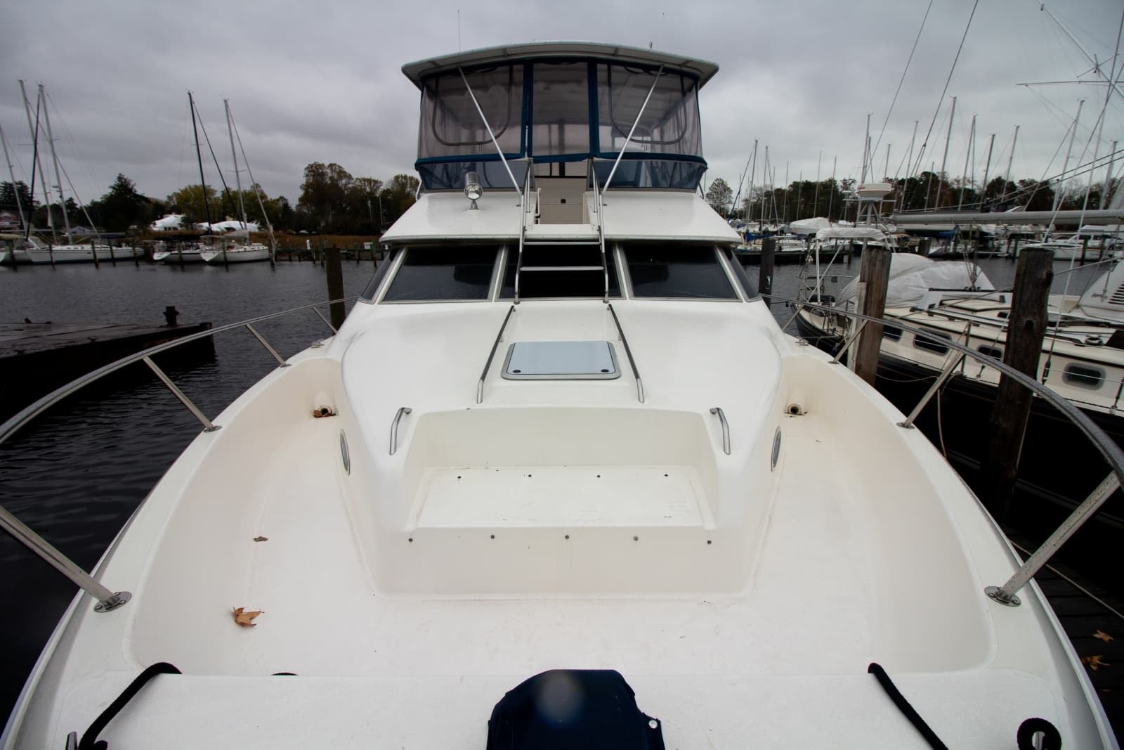 1993 Sea Ray 440 Express Bridge