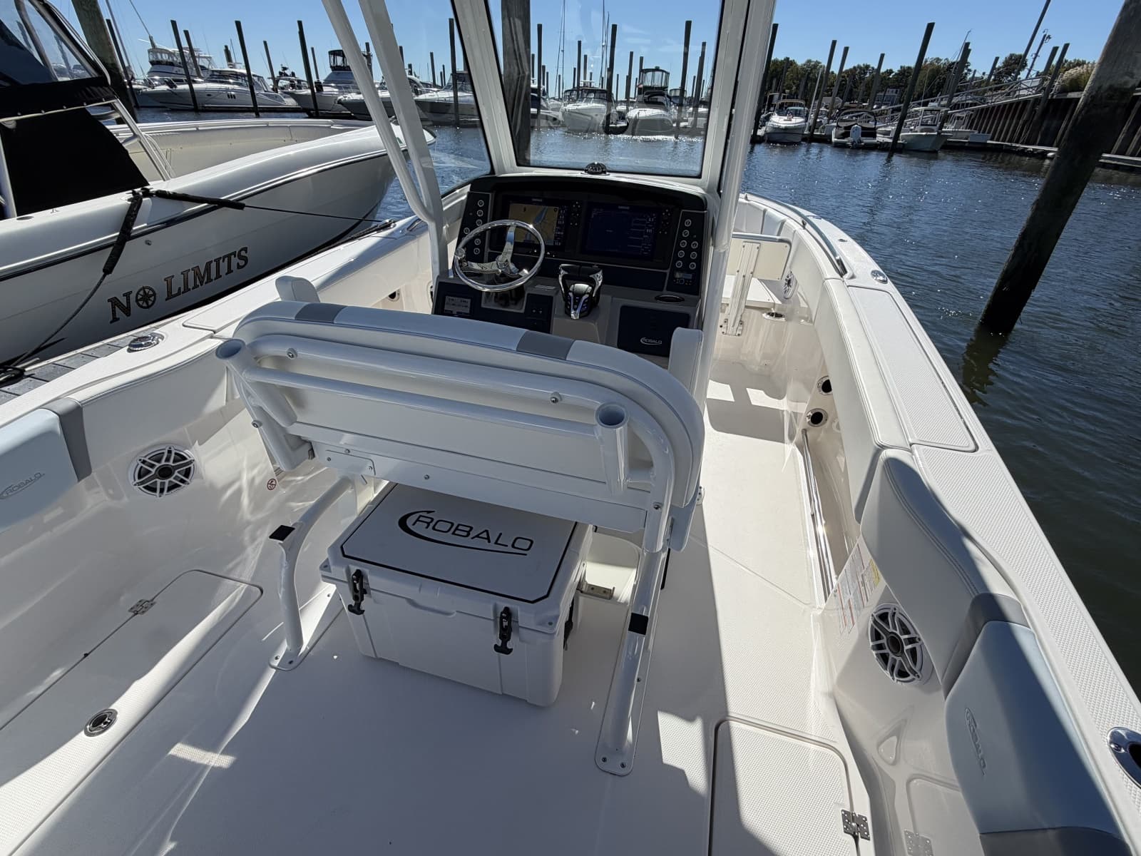 2025 Robalo R250