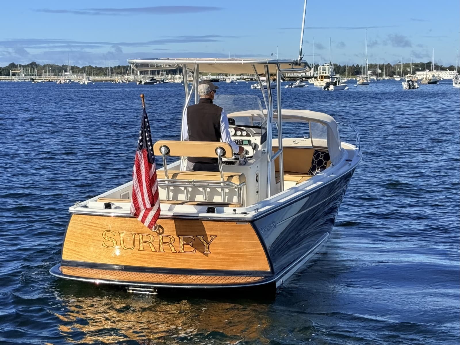 2010 Vanquish 24 Runabout