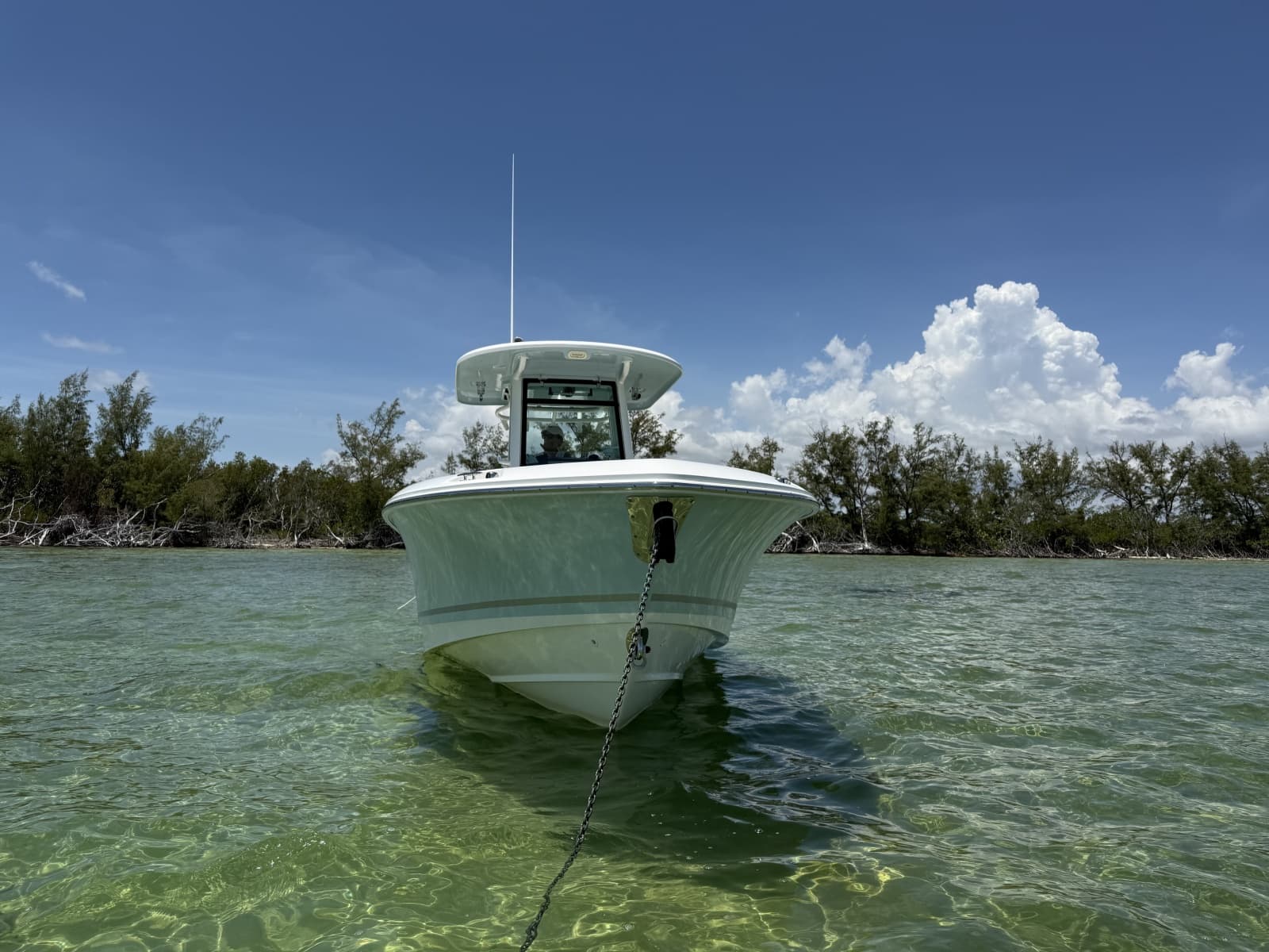 2019 Boston Whaler 280 Outrage
