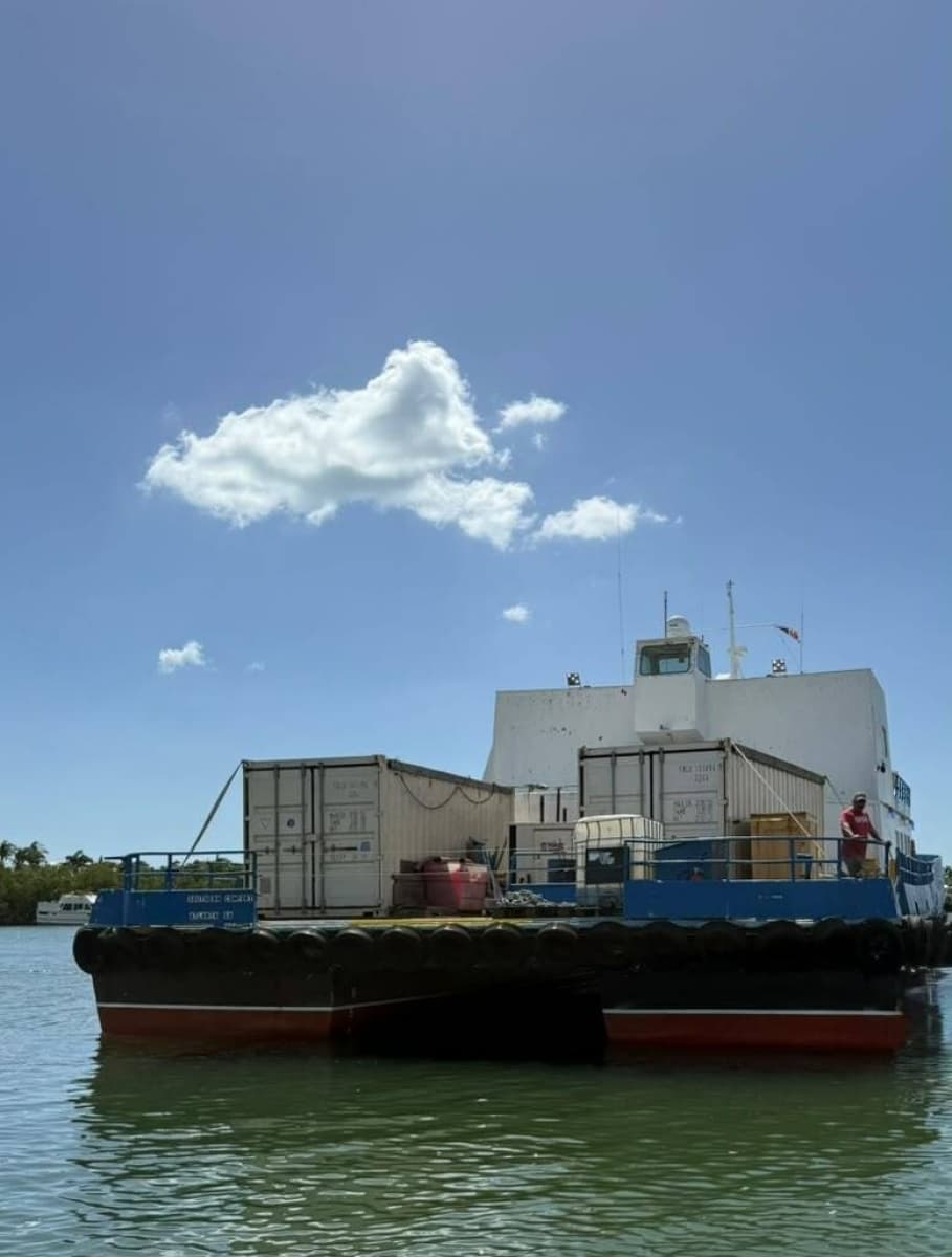 1974 AlumaCat 
