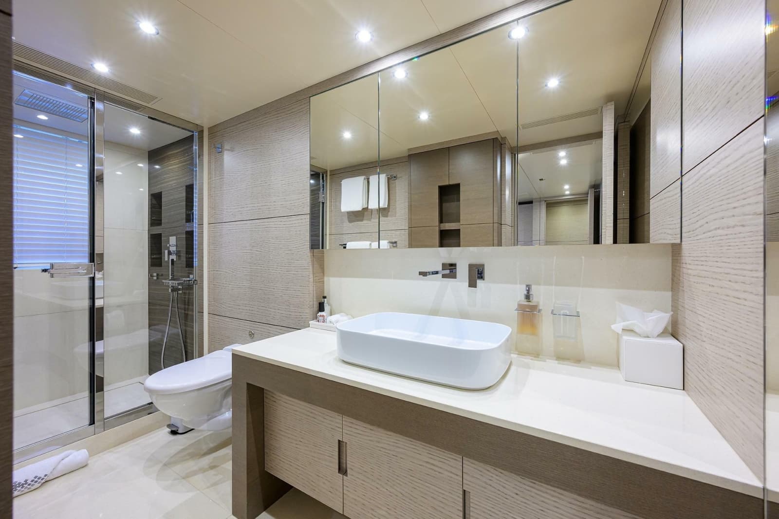 Guest Stateroom Ensuite