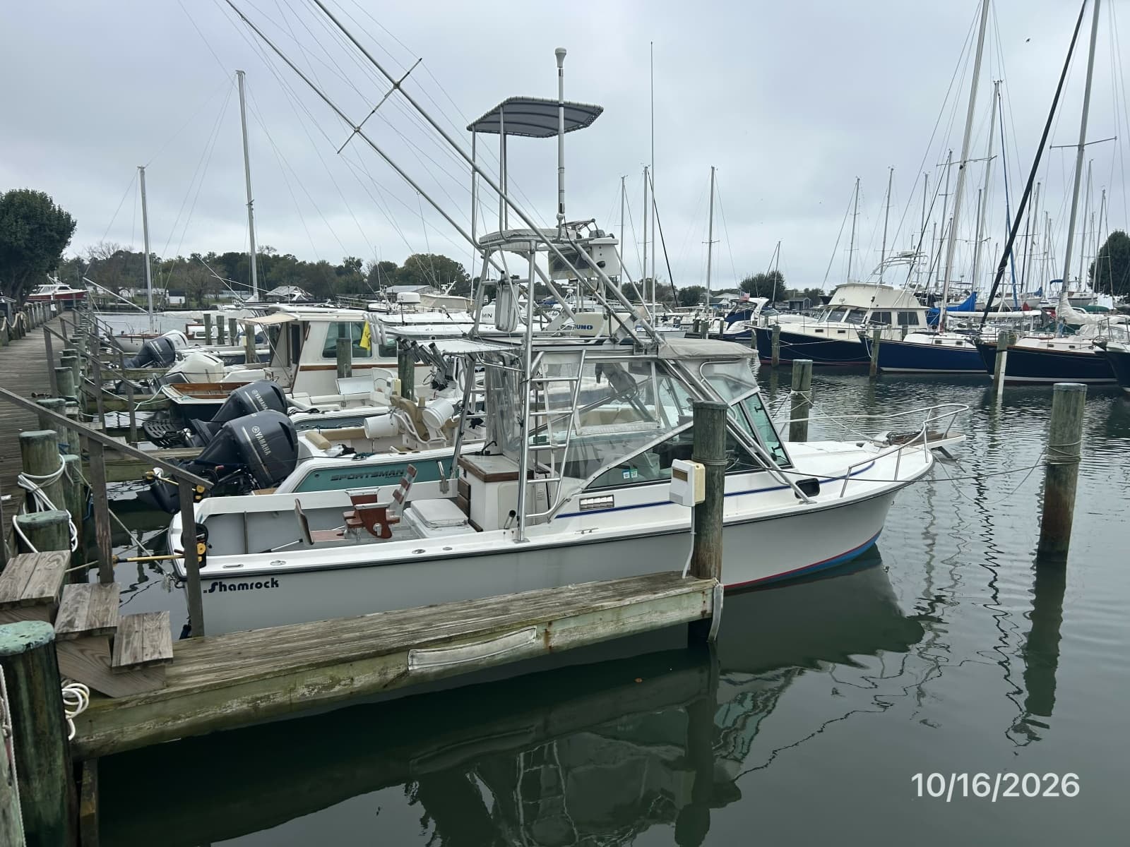 26' Shamrock starboard aft profile2