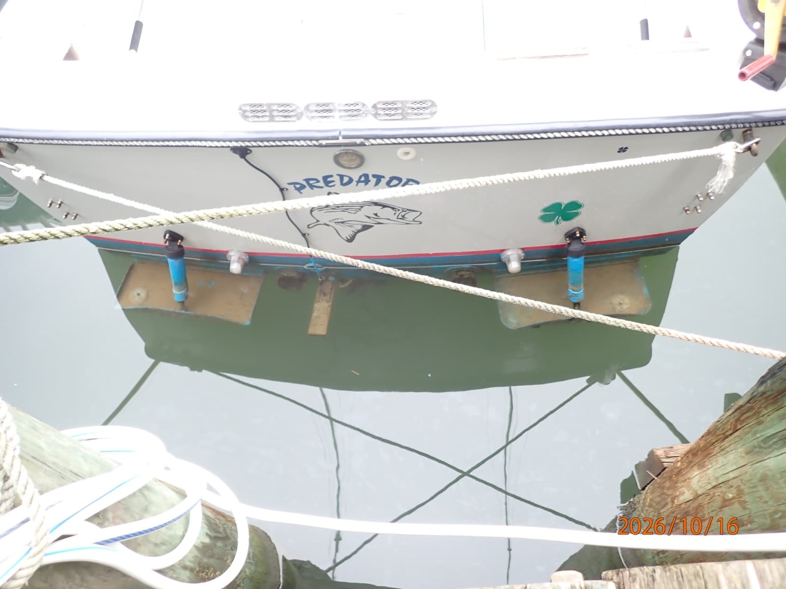 26' Shamrock transom
